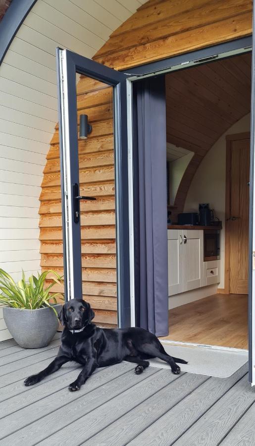 Hotel Habberley Glamping Pods Shrewsbury Exterior foto